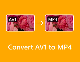 Tukar Av1 Kepada Mp4