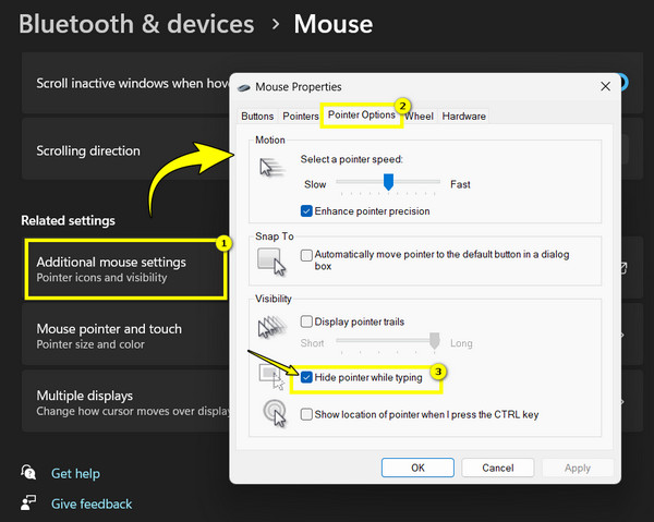 Hide Mouse Cursor Via Settings